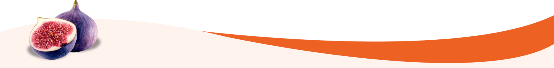 A green and orange background with white lines.